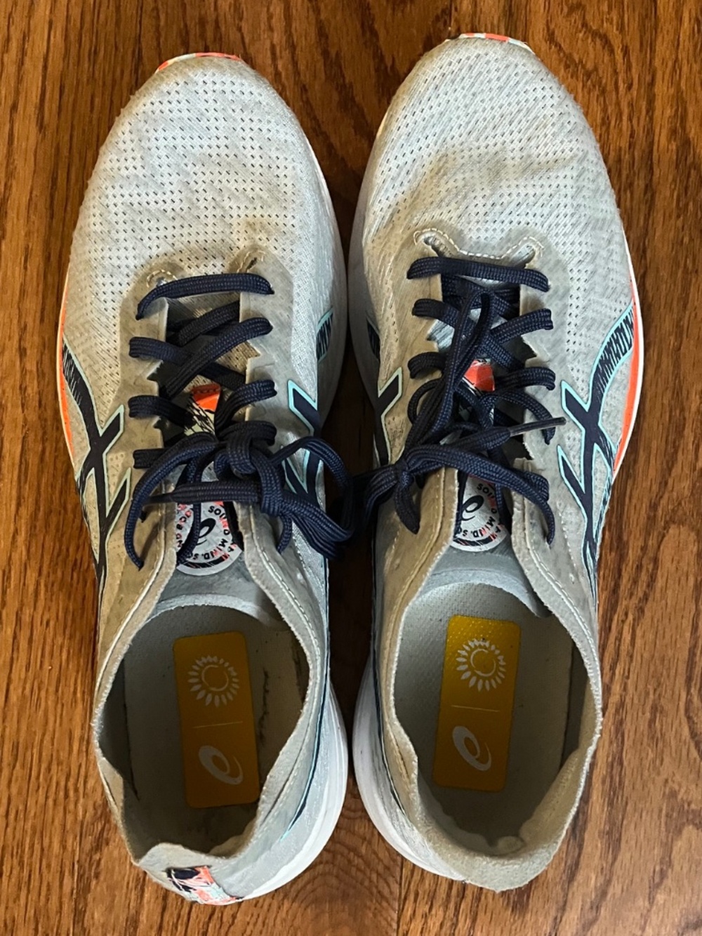 Asics Glacier Gray/Thunder Blue Men's Size 10 1/2 Regular Width